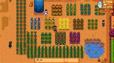 fairy stone stardew valley|stardew valley random seed.